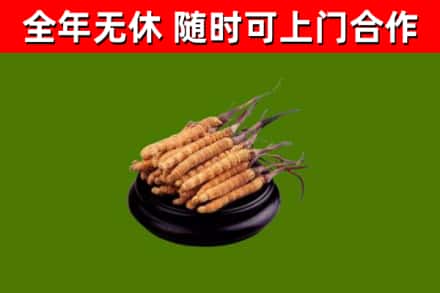 盈江县烟酒回收冬虫夏草.jpg